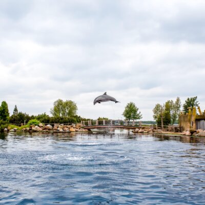 tickets voor dolfinarium zoo duisburg